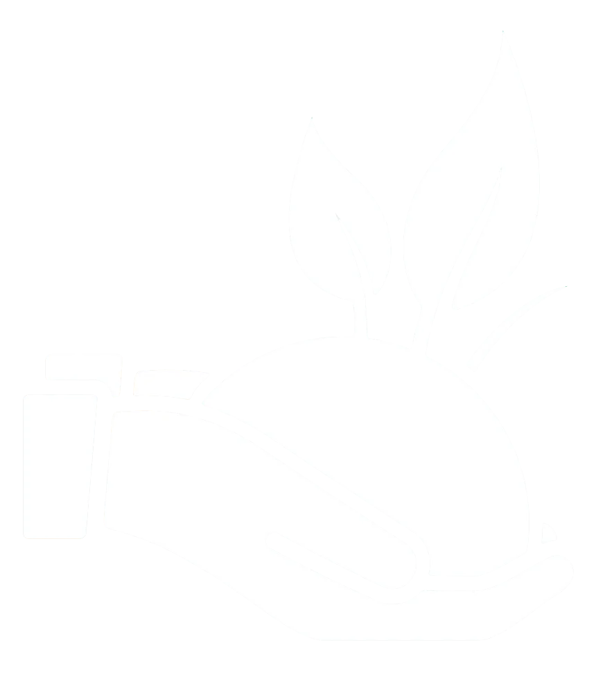 Sustainability